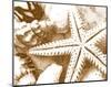 Starfish Impression-null-Mounted Art Print