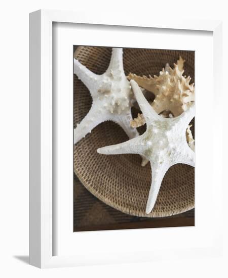 Starfish in a basket-Felix Wirth-Framed Photographic Print