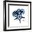 Starfish in Blue-Albert Koetsier-Framed Art Print