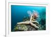 Starfish in Coral Reef (Linckia)-Reinhard Dirscherl-Framed Photographic Print