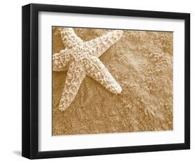 Starfish in the Sand-null-Framed Art Print