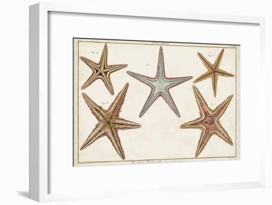 Starfish Naturelle I-Denis Diderot-Framed Art Print