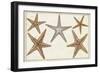 Starfish Naturelle I-Denis Diderot-Framed Art Print