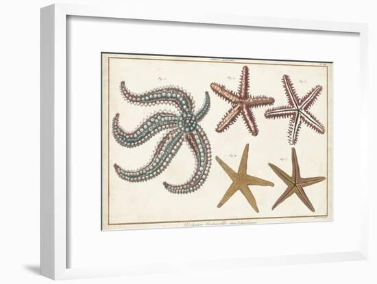 Starfish Naturelle II-Denis Diderot-Framed Art Print