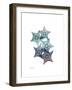 Starfish Ombre 1-Albert Koetsier-Framed Art Print