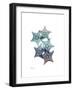 Starfish Ombre 1-Albert Koetsier-Framed Art Print