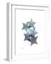 Starfish Ombre 1-Albert Koetsier-Framed Art Print