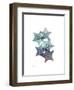 Starfish Ombre 1-Albert Koetsier-Framed Art Print