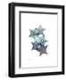 Starfish Ombre 1-Albert Koetsier-Framed Art Print