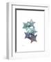 Starfish Ombre 1-Albert Koetsier-Framed Art Print