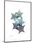 Starfish Ombre 1-Albert Koetsier-Mounted Art Print