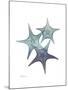 Starfish Ombre 2-Albert Koetsier-Mounted Art Print
