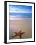 Starfish on Beach, Maldives-Peter Adams-Framed Photographic Print