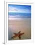 Starfish on Beach, Maldives-Peter Adams-Framed Photographic Print