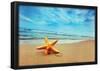 Starfish On The Beach - Best For Web Use-null-Framed Poster