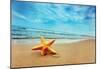 Starfish On The Beach - Best For Web Use-null-Mounted Poster