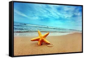 Starfish on the Beach-Michal Bednarek-Framed Stretched Canvas