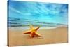 Starfish on the Beach-Michal Bednarek-Stretched Canvas