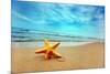 Starfish on the Beach-Michal Bednarek-Mounted Photographic Print