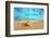 Starfish on the Beach-Michal Bednarek-Framed Photographic Print