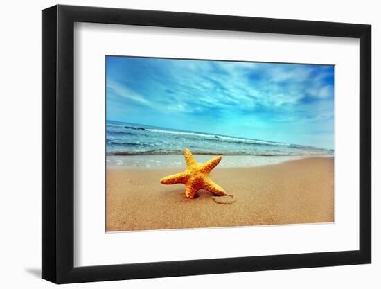 Starfish on the Beach-Michal Bednarek-Framed Photographic Print