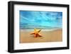 Starfish on the Beach-Michal Bednarek-Framed Photographic Print