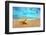 Starfish on the Beach-Michal Bednarek-Framed Photographic Print