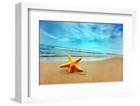 Starfish on the Beach-Michal Bednarek-Framed Photographic Print