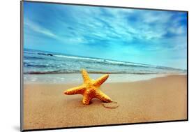 Starfish on the Beach-Michal Bednarek-Mounted Photographic Print