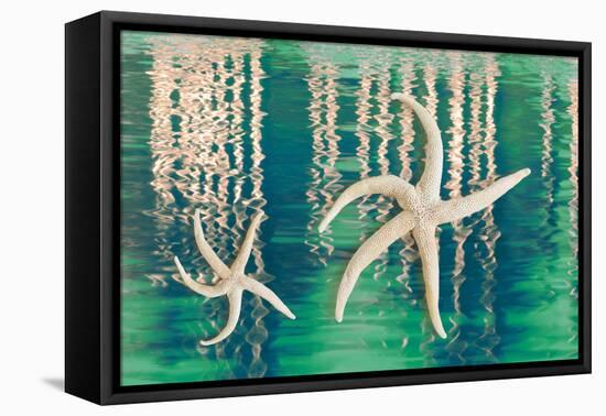 Starfish on Water I-Kathy Mahan-Framed Stretched Canvas