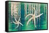 Starfish on Water I-Kathy Mahan-Framed Stretched Canvas