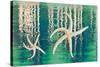 Starfish on Water I-Kathy Mahan-Stretched Canvas
