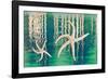 Starfish on Water I-Kathy Mahan-Framed Photographic Print