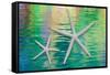 Starfish on Water II-Kathy Mahan-Framed Stretched Canvas
