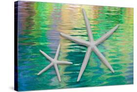 Starfish on Water II-Kathy Mahan-Stretched Canvas