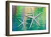 Starfish on Water II-Kathy Mahan-Framed Photographic Print