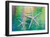 Starfish on Water II-Kathy Mahan-Framed Photographic Print