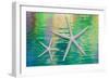 Starfish on Water II-Kathy Mahan-Framed Photographic Print