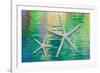 Starfish on Water II-Kathy Mahan-Framed Photographic Print