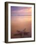 Starfish, Pigeon Pt, Tobago-Peter Adams-Framed Photographic Print