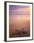 Starfish, Pigeon Pt, Tobago-Peter Adams-Framed Photographic Print