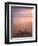 Starfish, Pigeon Pt, Tobago-Peter Adams-Framed Photographic Print