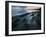 Starfish.  Puget Sound. Washington.-Steven Gnam-Framed Premium Photographic Print