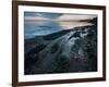 Starfish.  Puget Sound. Washington.-Steven Gnam-Framed Photographic Print