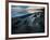 Starfish.  Puget Sound. Washington.-Steven Gnam-Framed Photographic Print