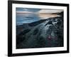 Starfish.  Puget Sound. Washington.-Steven Gnam-Framed Photographic Print