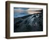 Starfish.  Puget Sound. Washington.-Steven Gnam-Framed Photographic Print