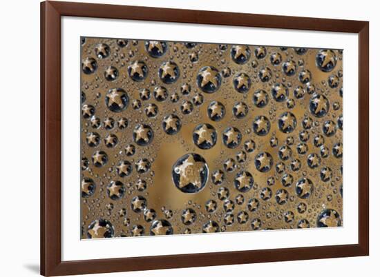 Starfish reflected in dew drops-Darrell Gulin-Framed Photographic Print