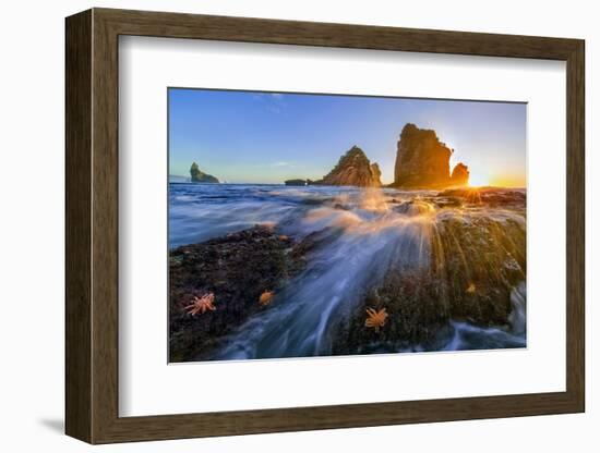 Starfish Rocks-Hua Zhu-Framed Photographic Print