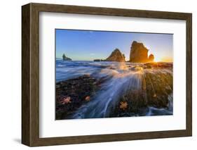 Starfish Rocks-Hua Zhu-Framed Photographic Print